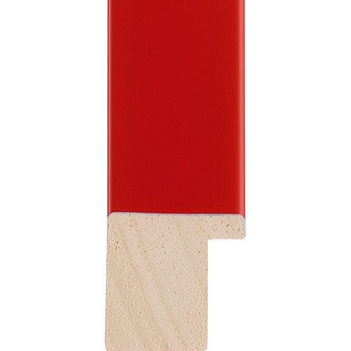 frame sample b06g