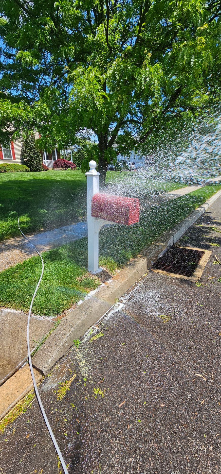Sprinkler spraying water across a sidewalk beside a green lawn and red mailbox on a sunny day