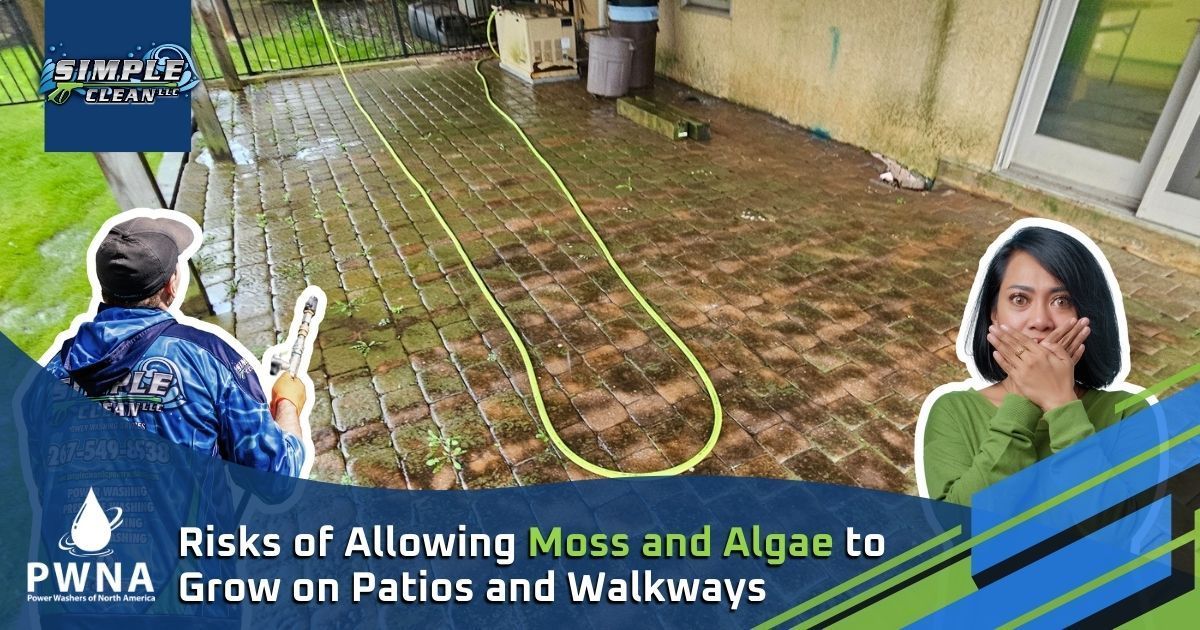 Patio with moss and algae. Man spraying, woman reacting.