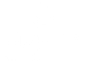 Olympus at the Woodlands white logo.