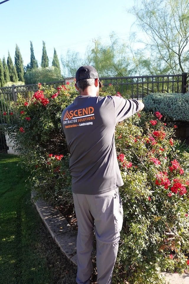 Man pruning trees with long-handled shears in a wooded area.
