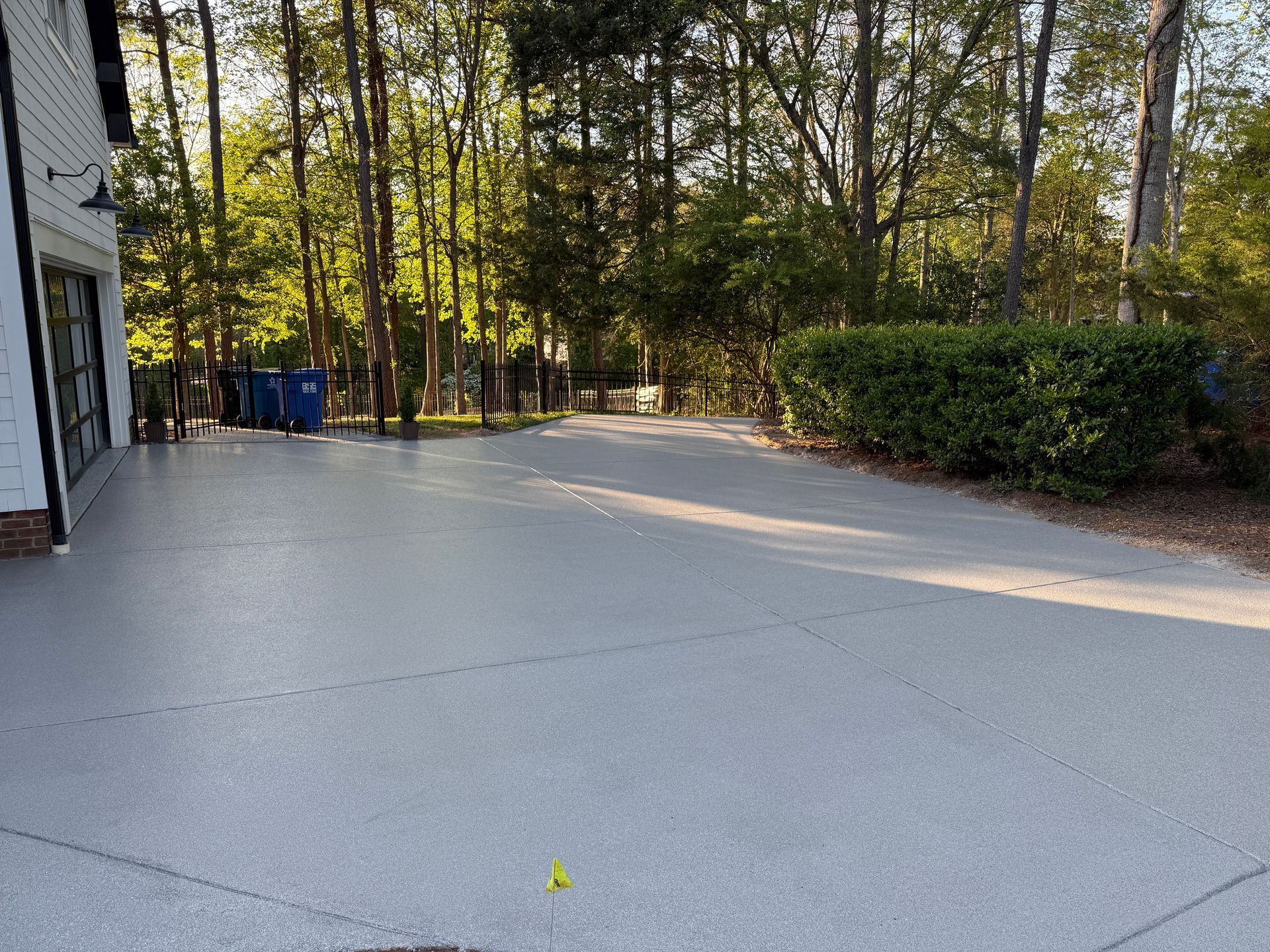 Concrete driveway beside a house, bordered by trees and bushes in warm late-afternoon light