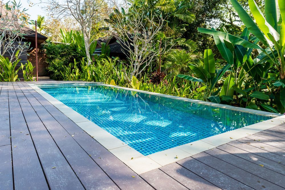 Pool With A Deck And Bushes Around It— Creative Pools and Spas in Mount Eliza, VIC