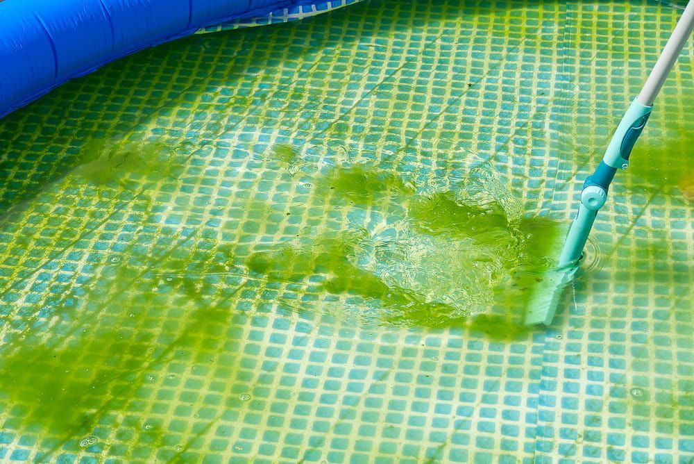 Green Algae Being Brushed in a Partially Filled, Square-tiled Inflatable Pool — Creative Pools and Spas in Sorrento, VIC