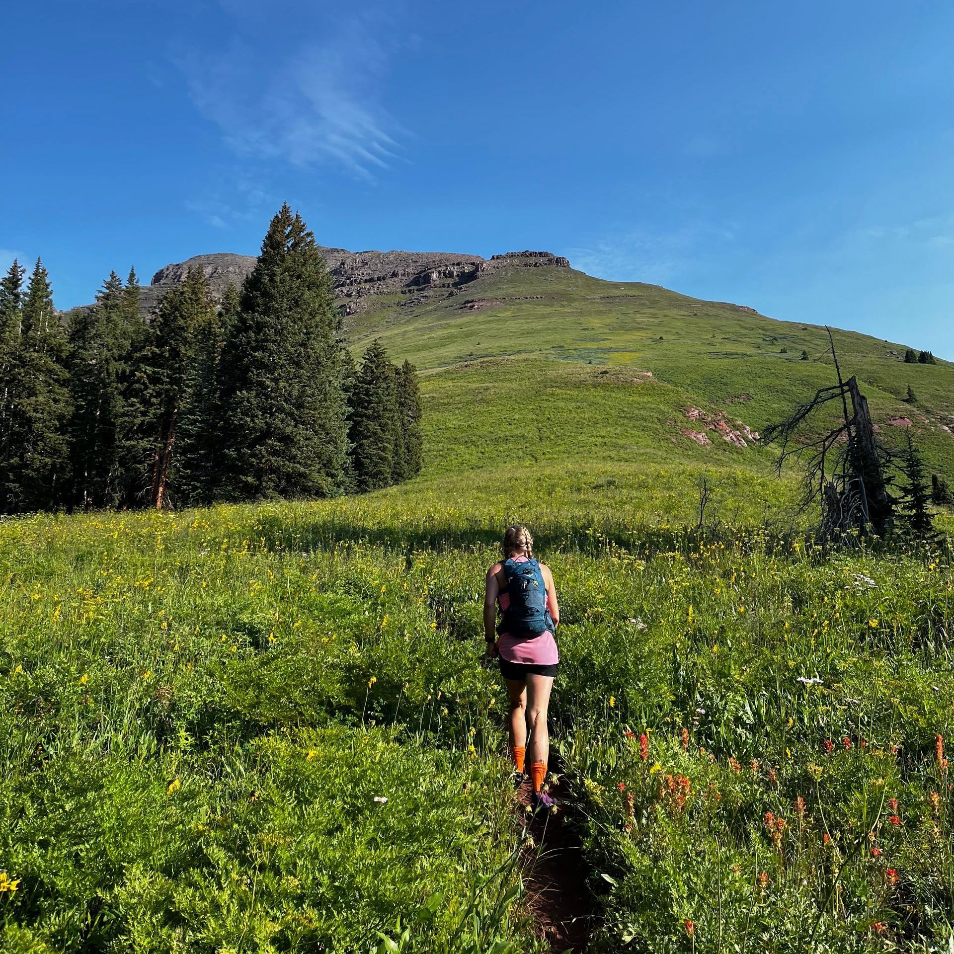 A woman with a backpack is walking through a grassy field