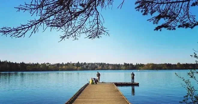Green Lake Seattle Washington - Moving and Furniture Delivery by 49Van