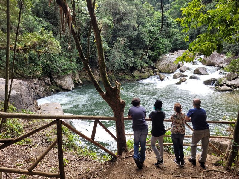 Quatro pessoas estão atrás de uma cerca de madeira, olhando para um rio que flui sobre as pedras através de uma floresta verdejante e exuberante.