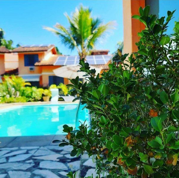 Uma piscina de um azul turquesa vibrante em frente a uma casa bege com uma palmeira, vista através de uma planta verdejante.