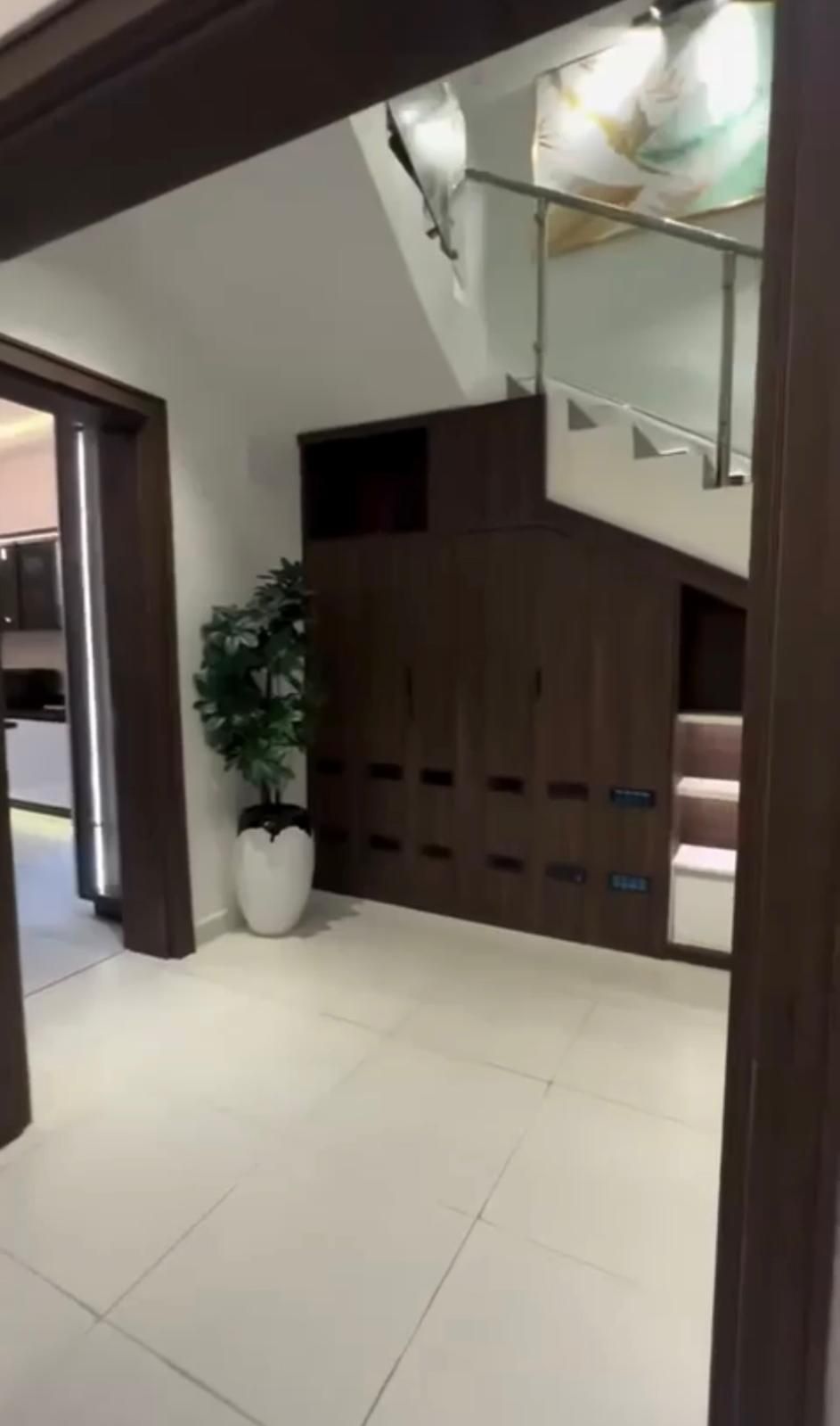 A hallway in a house with stairs and a potted plant.