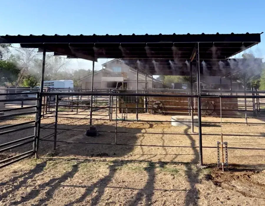 Covered livestock pen with metal fencing and a corrugated roof under a clear blue sky.