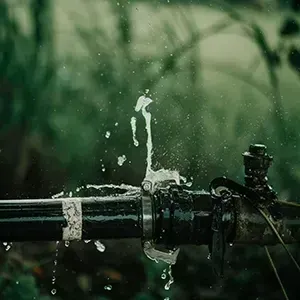 Water spraying from a pipe in a lush green outdoor setting
