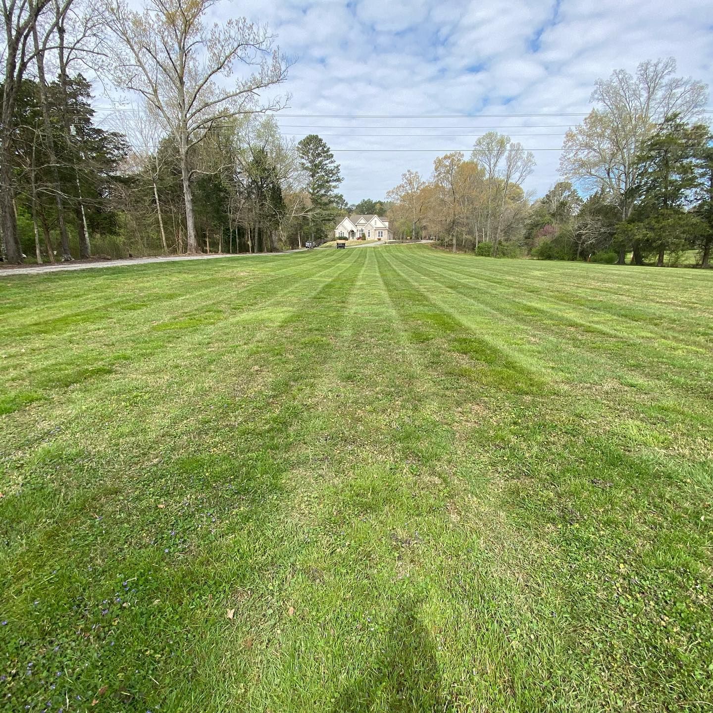 well-maintained residential lawn after professional mowing 
