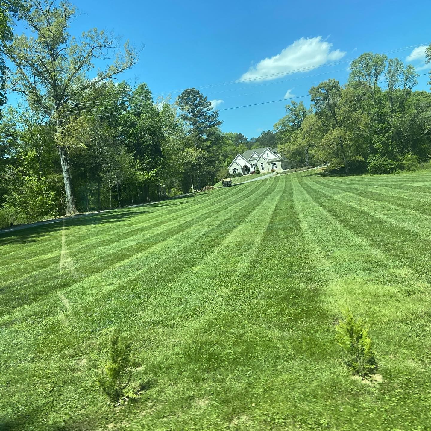Professional lawn mowing service with clean striped finish 