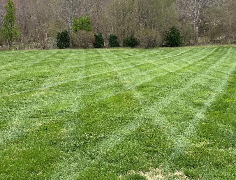 Residential lawn care with freshly mowed grass