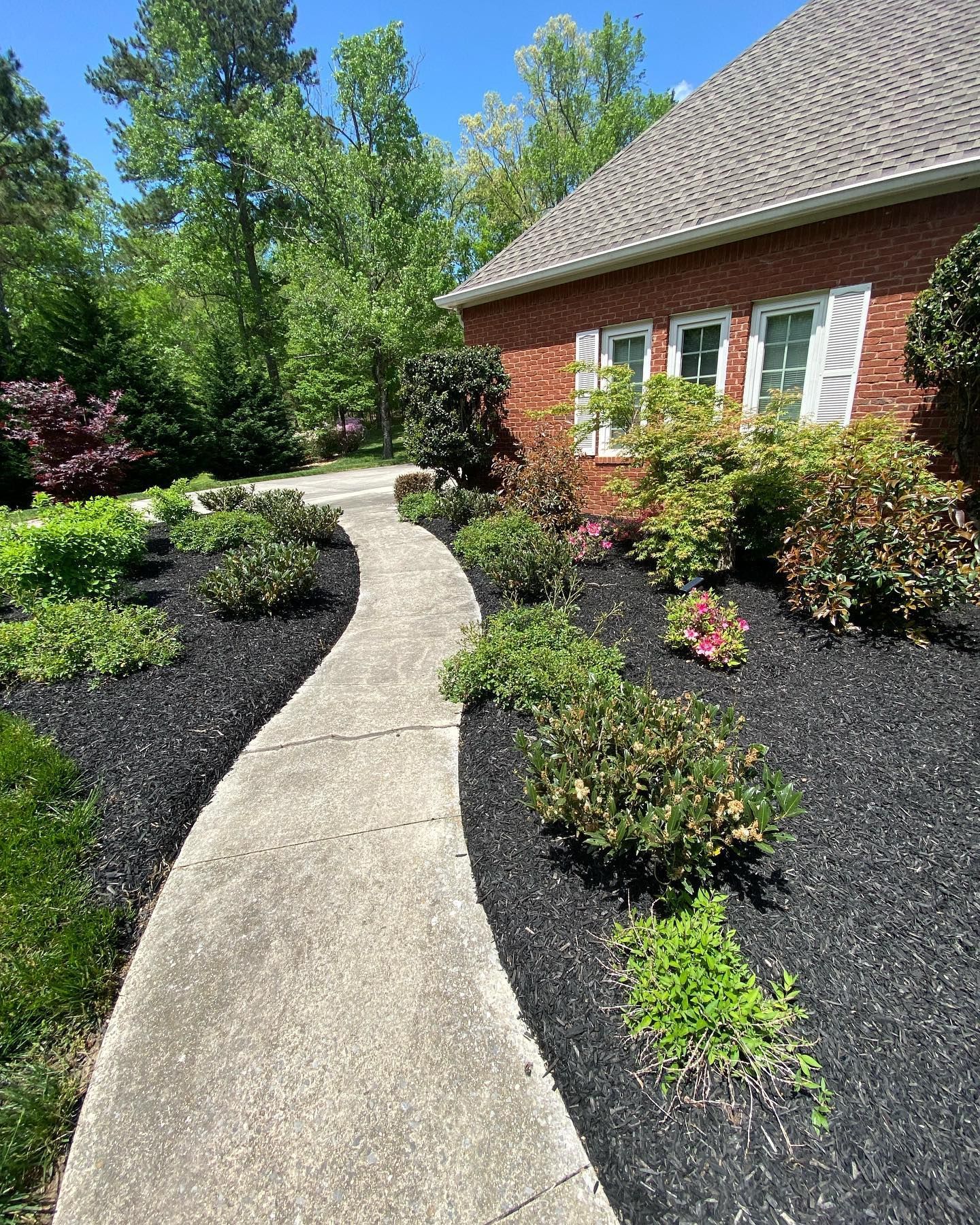 Landscape beds with fresh mulch installation 