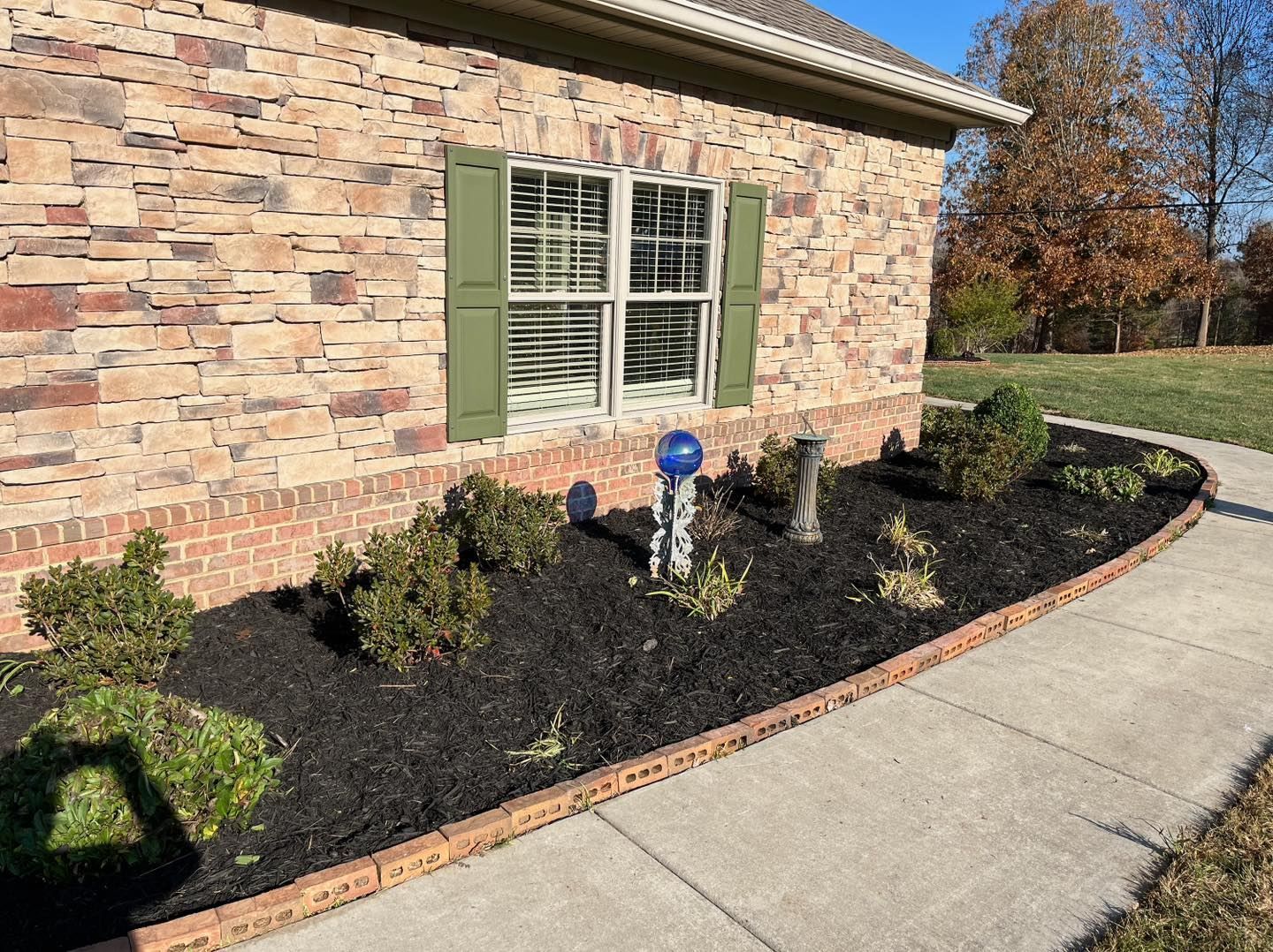 landscaping project with fresh mulch and plant installation 