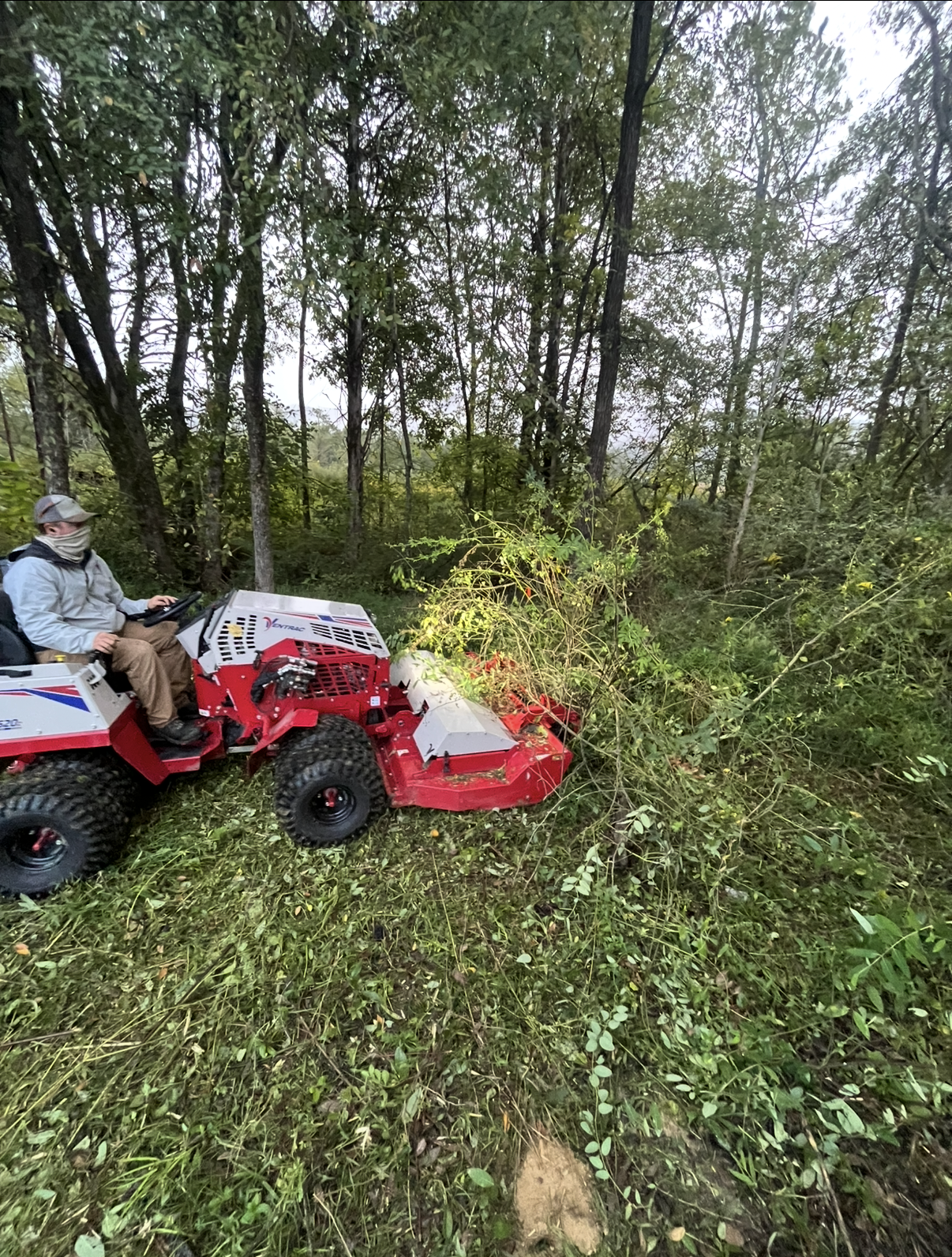 Bush hogging very overgrown property in SE Tennessee