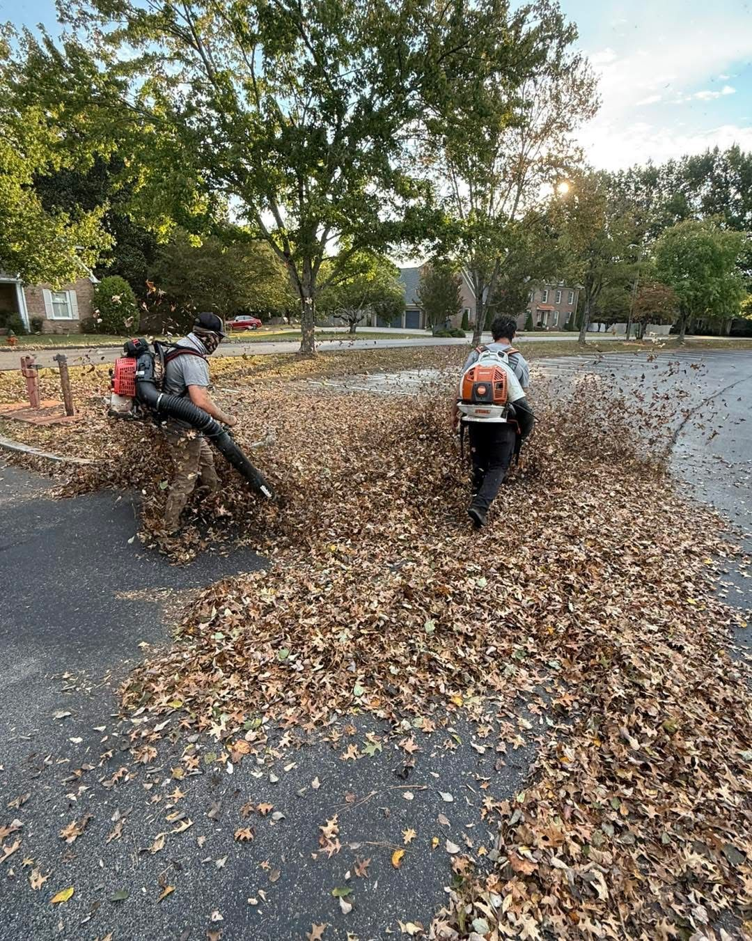 Fall Clean up.blowing leaves in Cleveland Tennessee