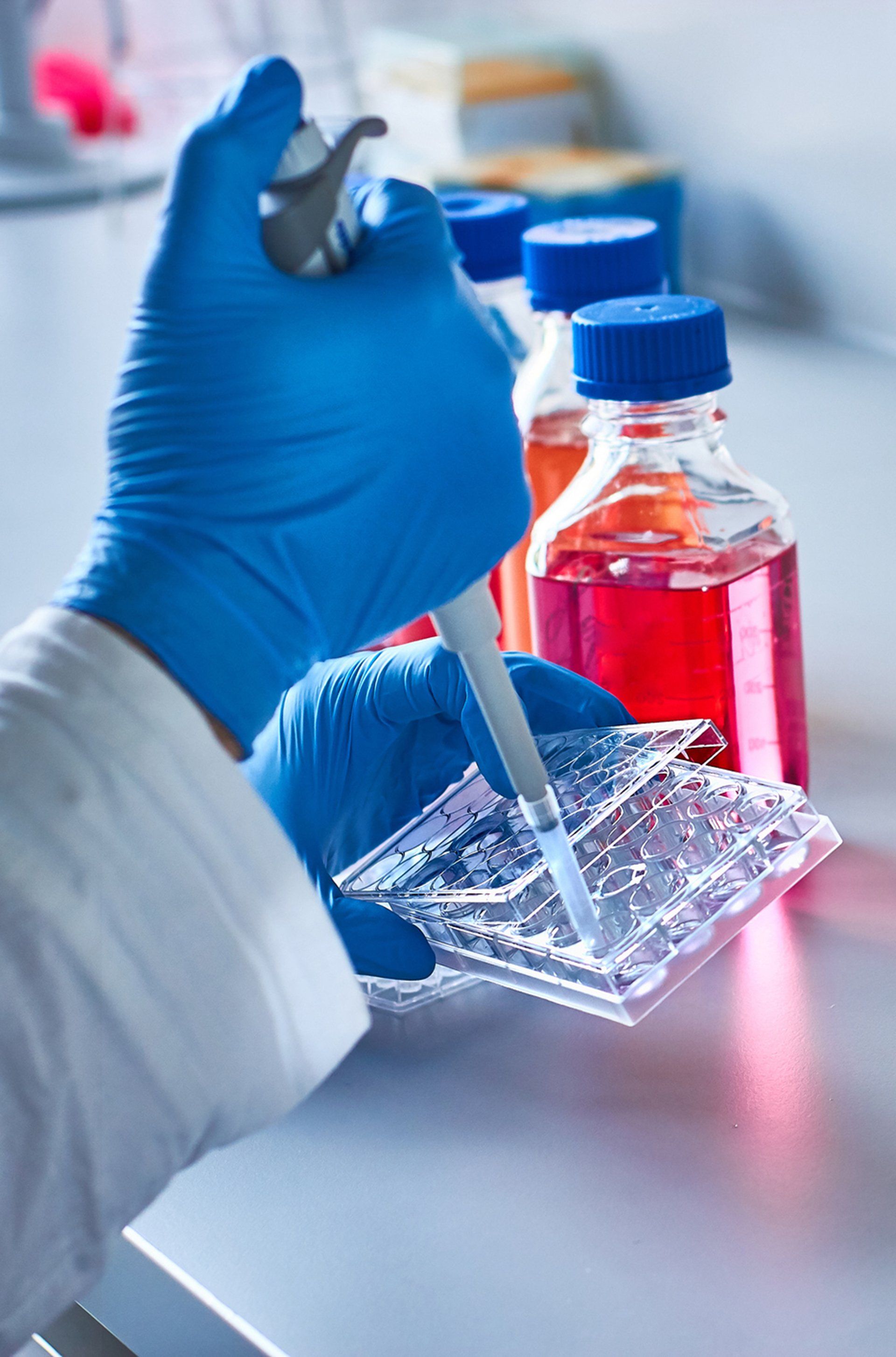Scientist Pipetting Research Samples By The Microscope — Van Nuys, CA — Aremco Scientific Co. Scientist Pipetting Research Samples By The Microscope — Van Nuys, CA — Aremco Scientific Co.