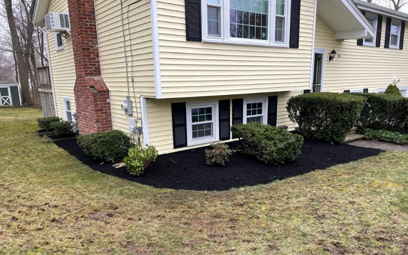 Yellow house with black shutters, surrounded by a dark mulch bed and green bushes.