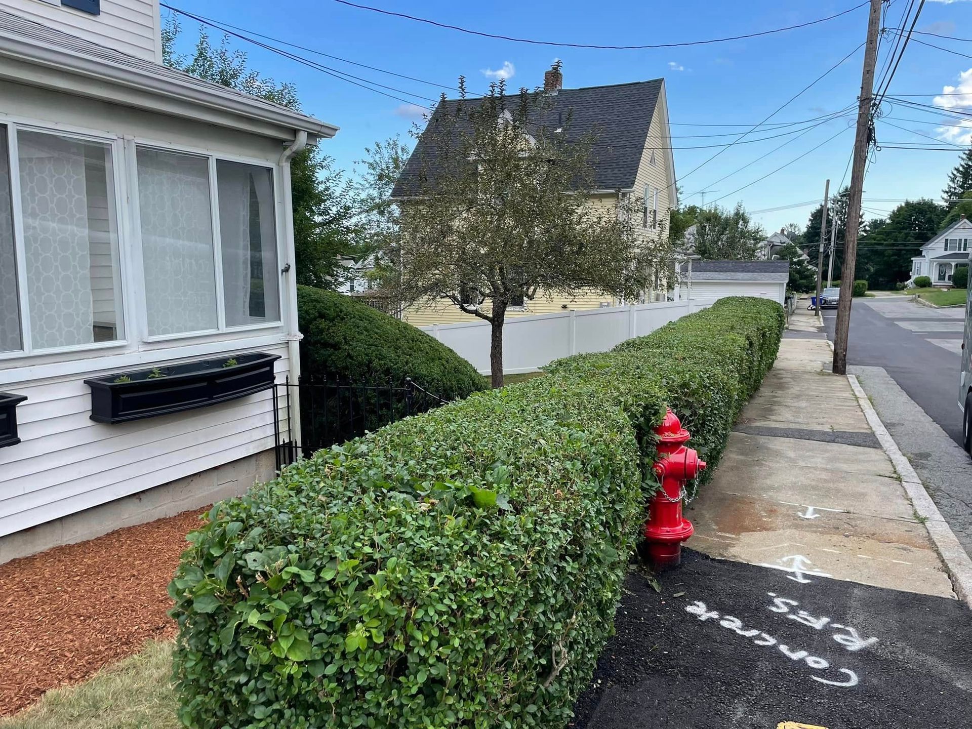 Sidewalk with trimmed green hedges, a red fire hydrant, and houses under a blue sky.