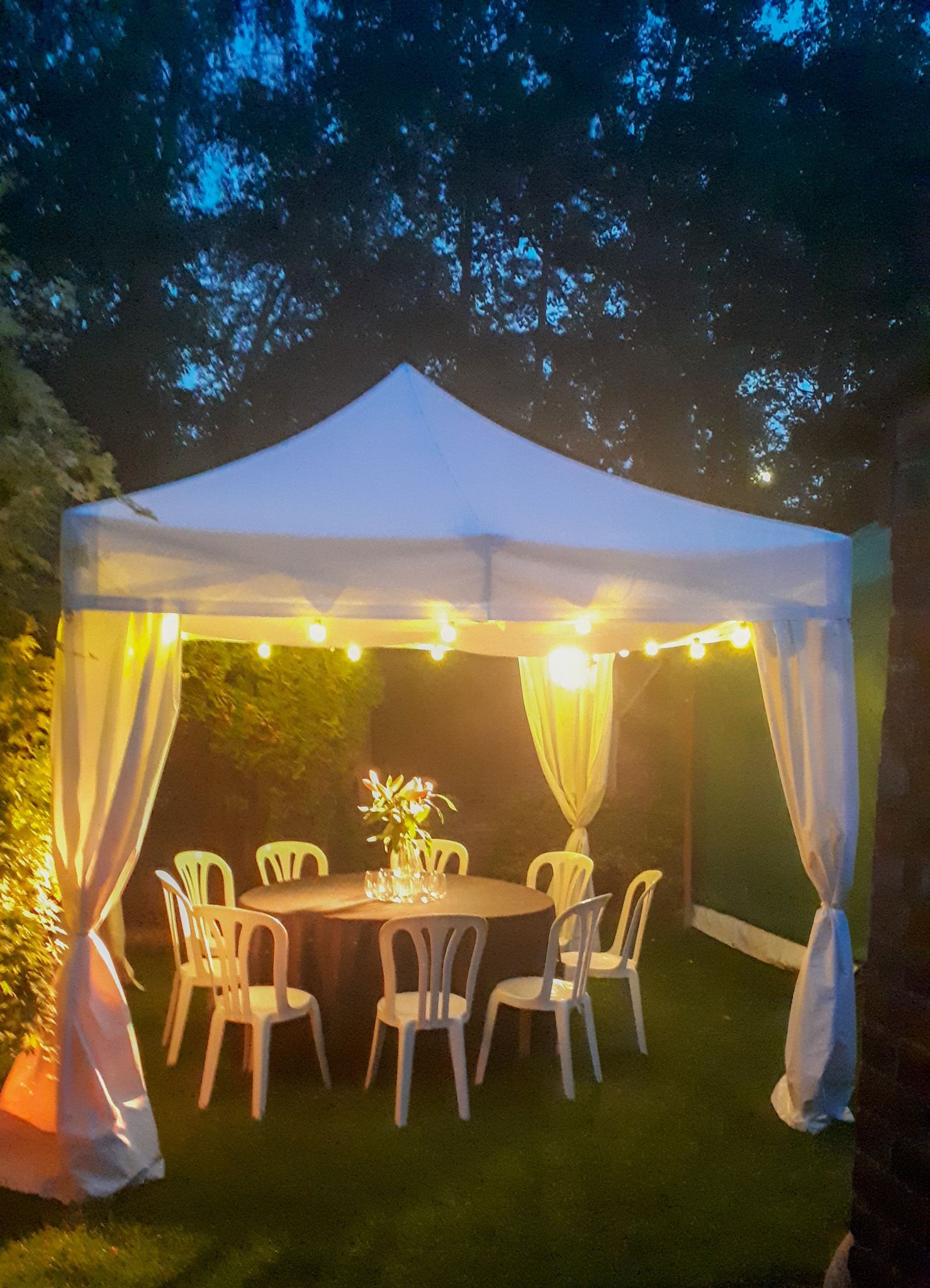 festoon lighting