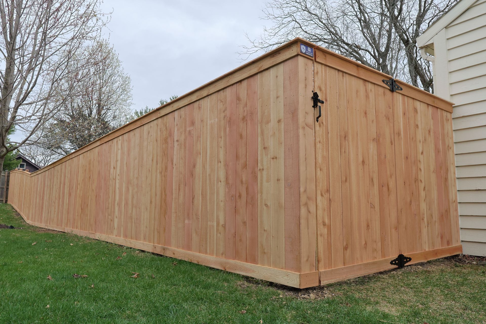 cedar fence new