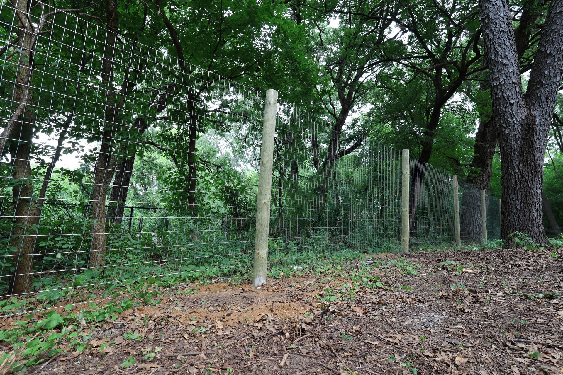 deer fence installation Illinois