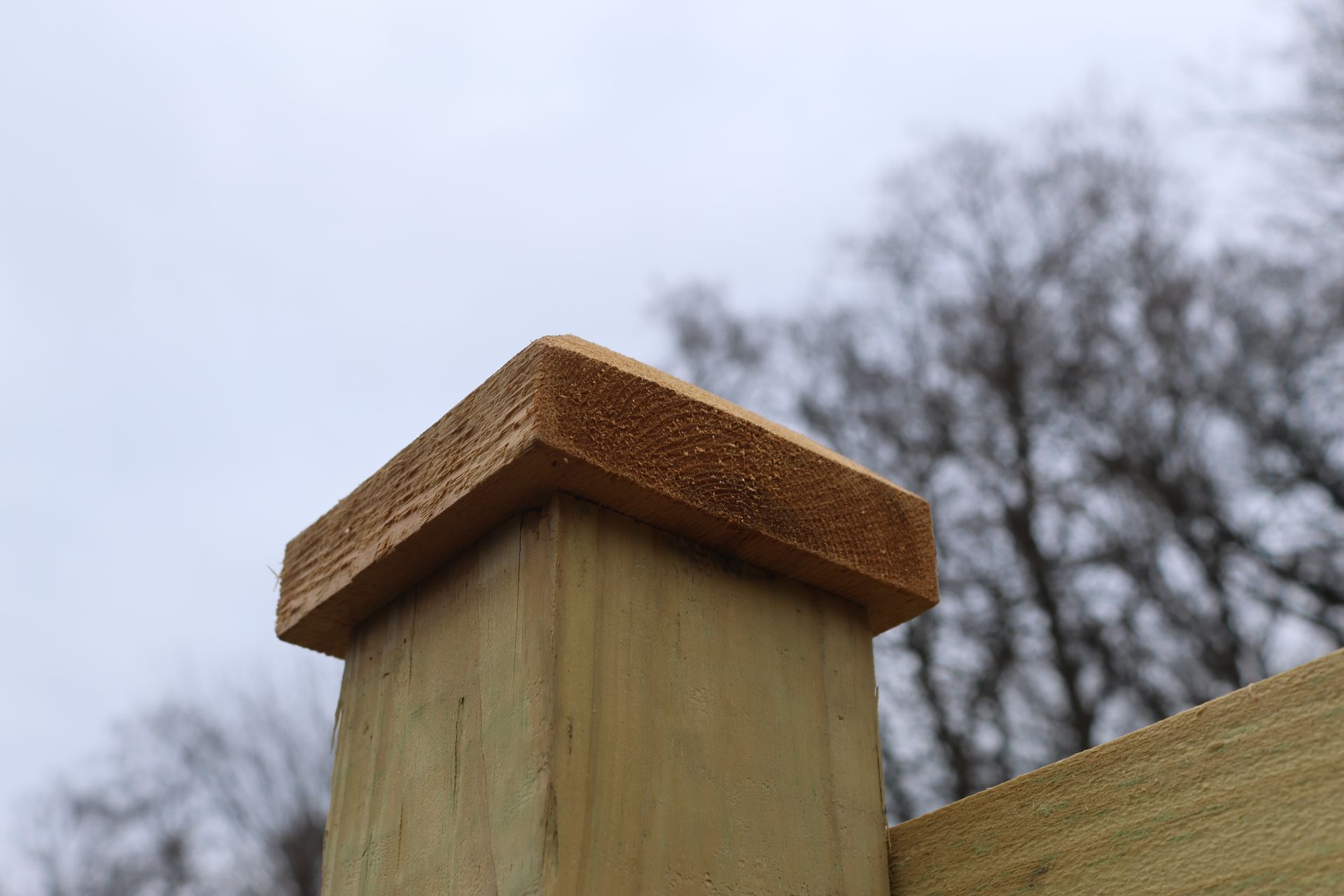 fence styles