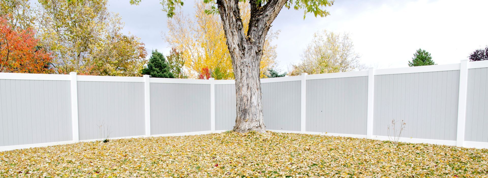 Fence Design 2024