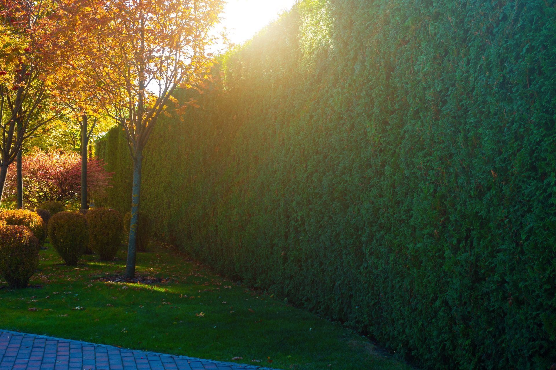 Fence Design Trends 2024 Living Fence