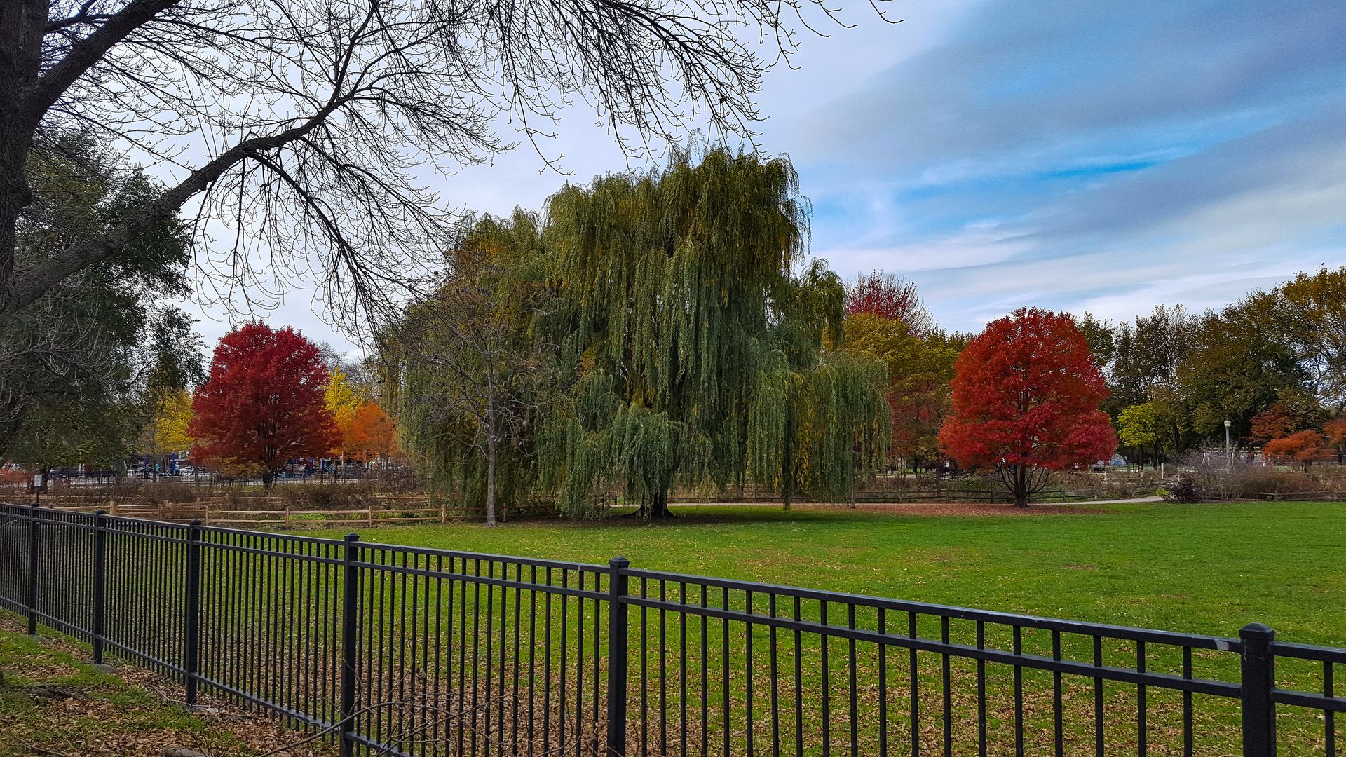 Fence Installation In Rolling Meadows IL | Trusted Local Fence Company