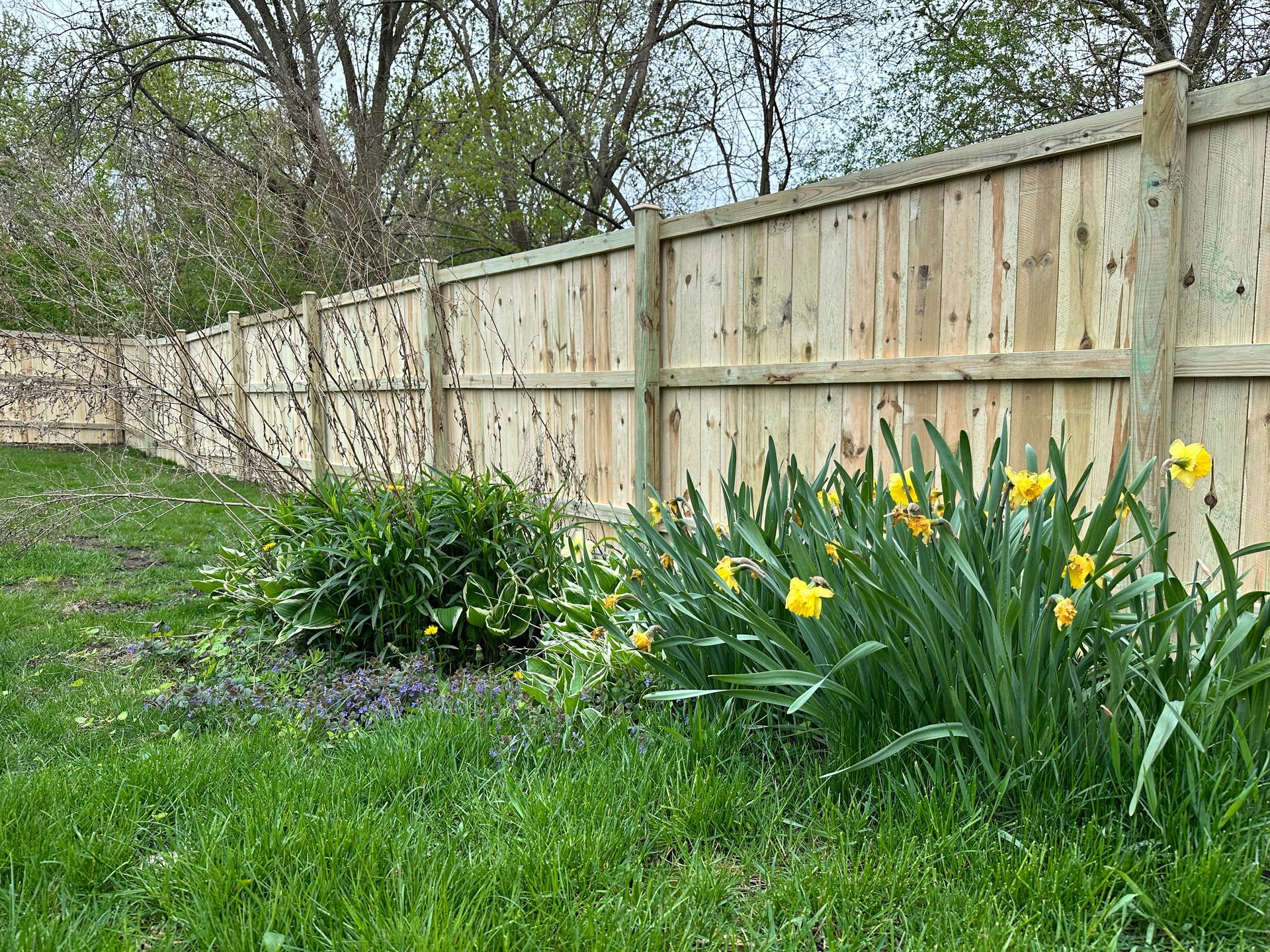 pine fence new