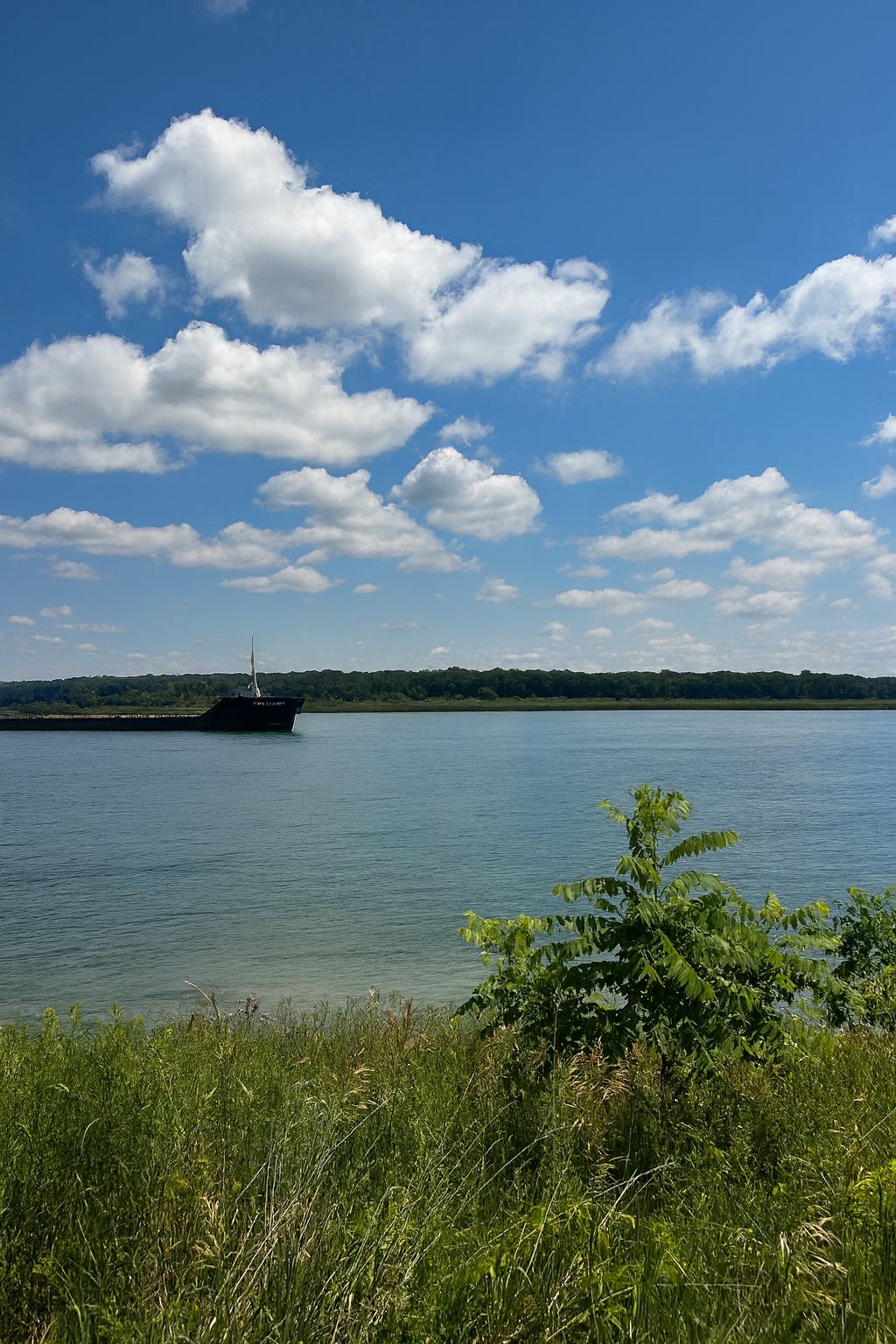 Barge on a wide river under a blue sky with fluffy white clouds, green trees on the horizon, green and brown grass in the foreground.