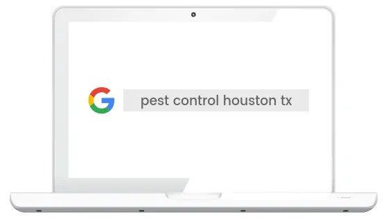 Search Engine