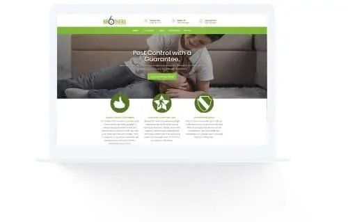 Website Display