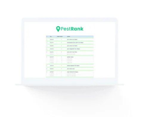 Digital Agency