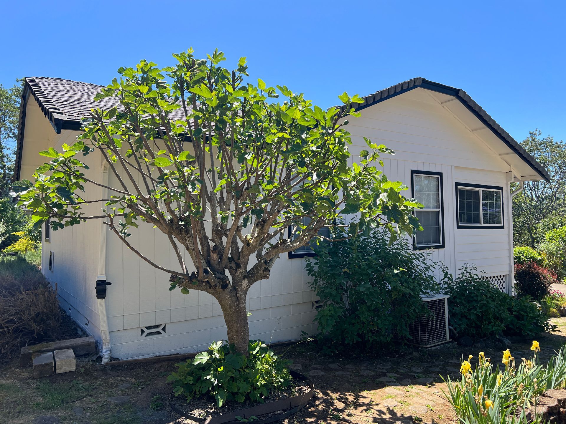 Front elevation after repaint with white body and black trim