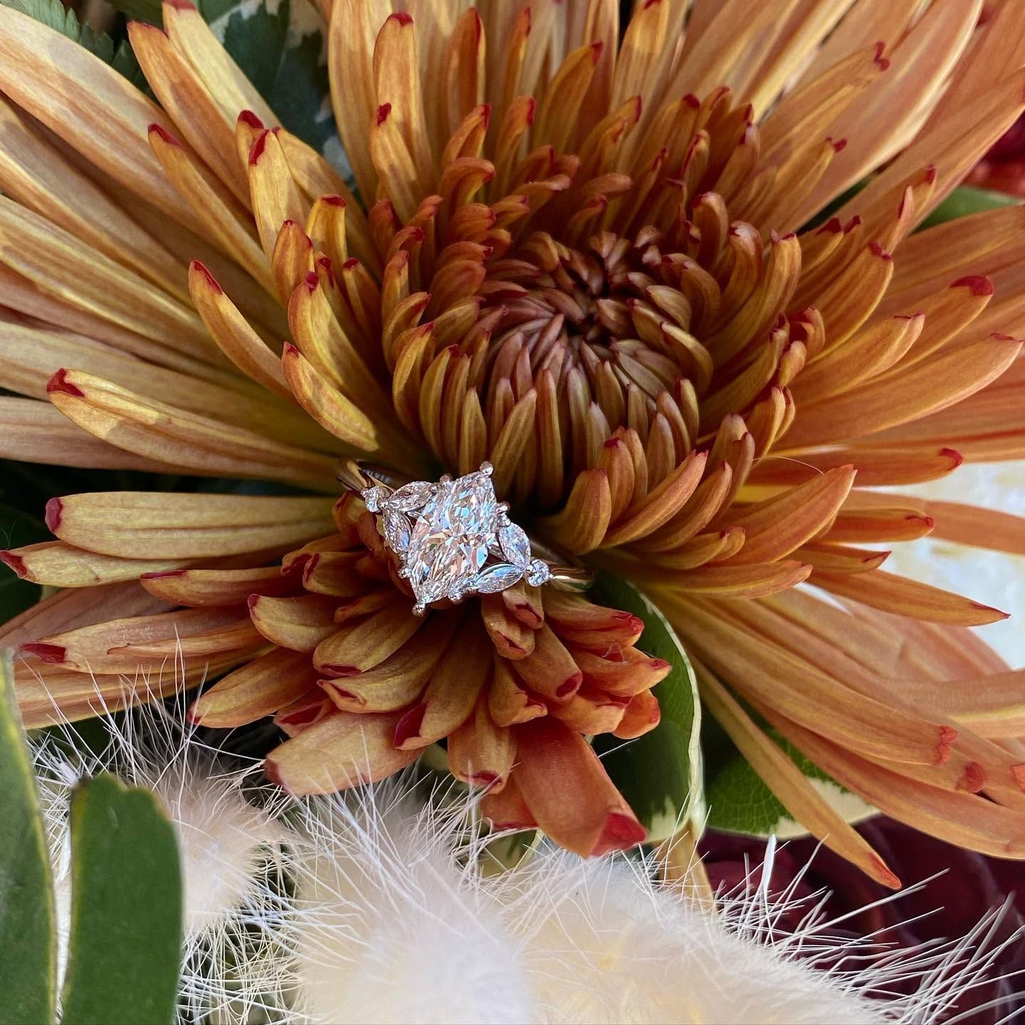 Close-up of an orange-brown flower with a silver center and fuzzy white accents