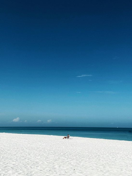 Enjoy Southwest Florida beaches.