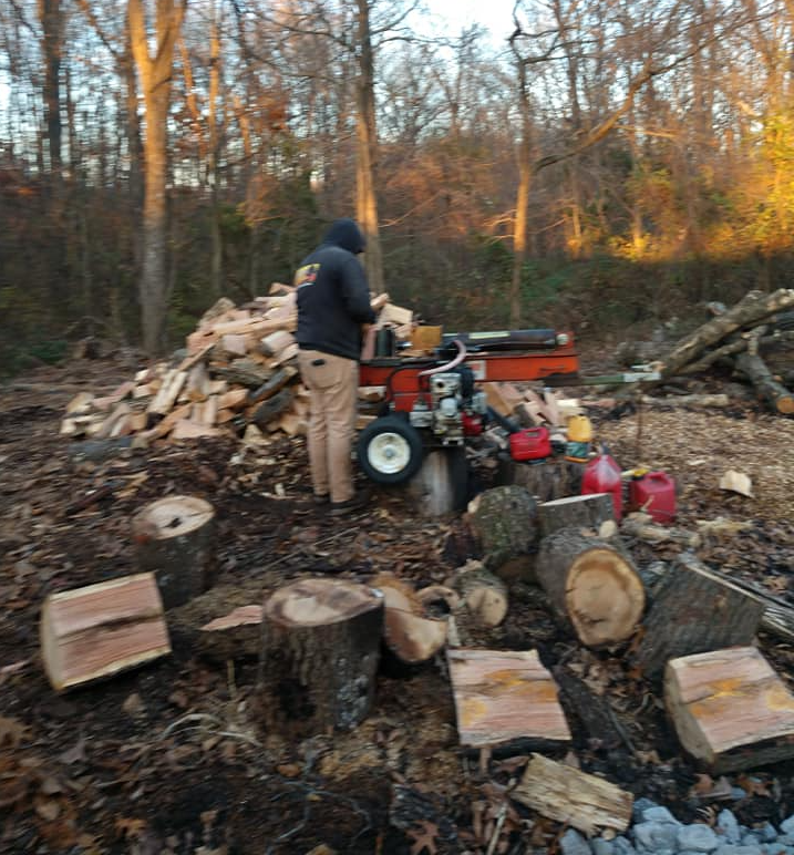 Tree Removal Service Carbondale Murphysboro IL Southern Illinois