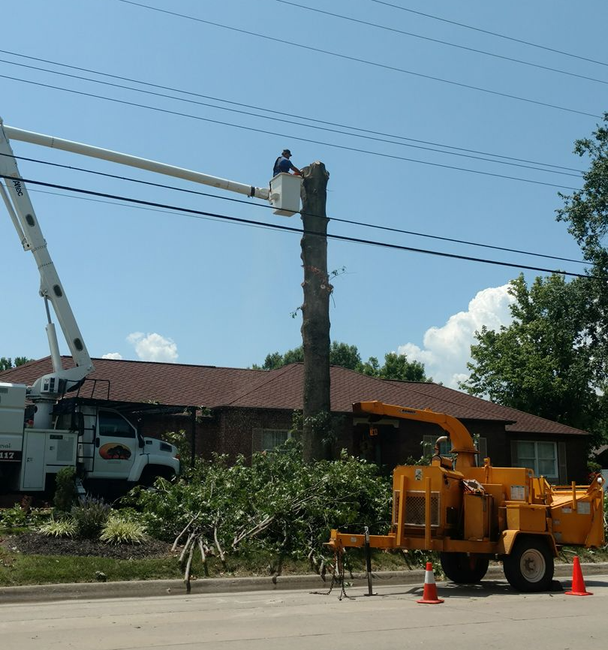 Utility crew trimming a tree near power lines with a bucket truck and wood chipper on a residential street