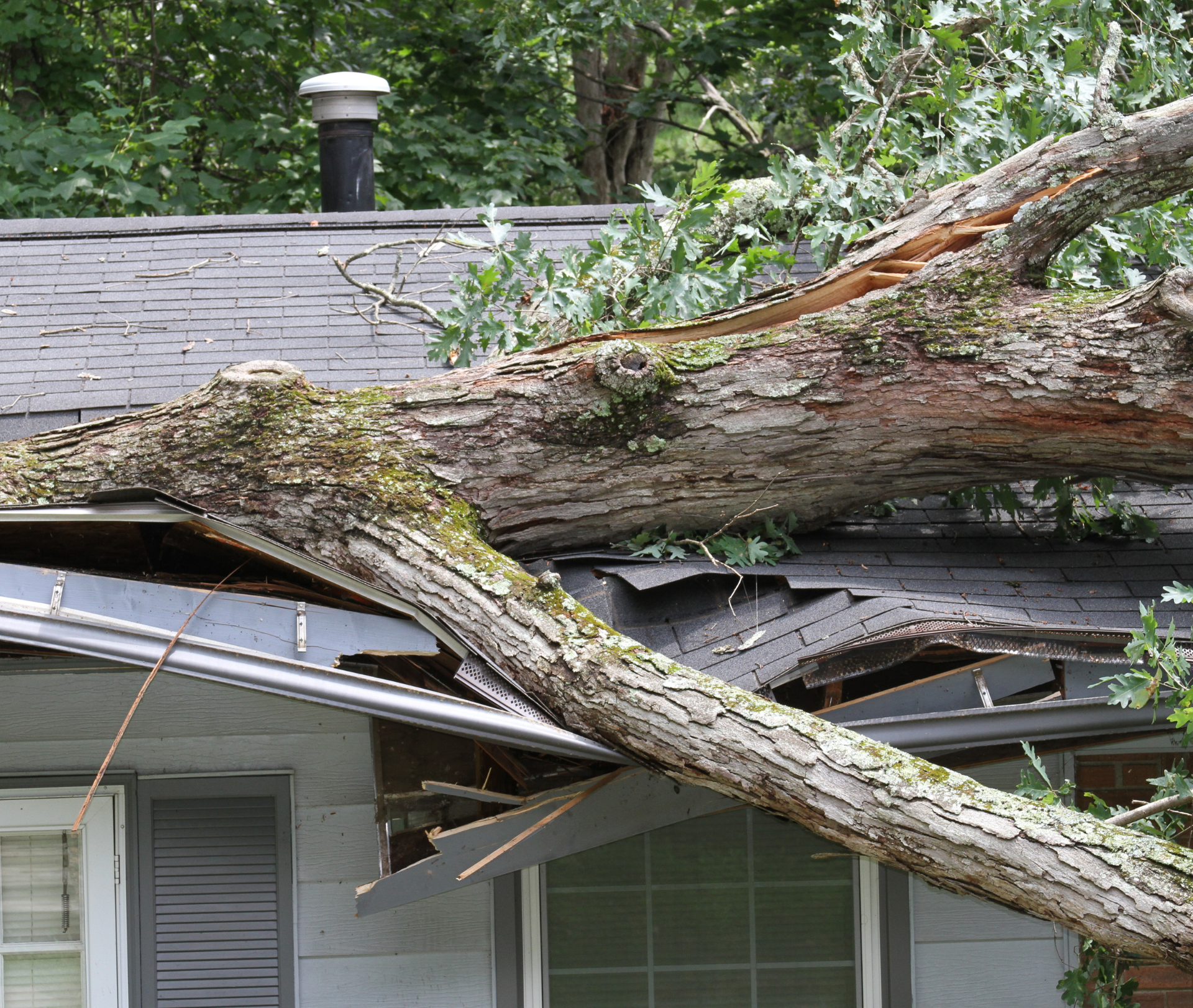 Midwest Tree Service Southern Illinois