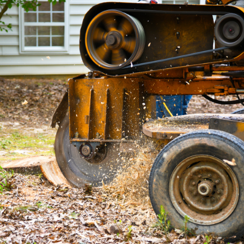 Midwest Tree Service Southern Illinois Stump Removal