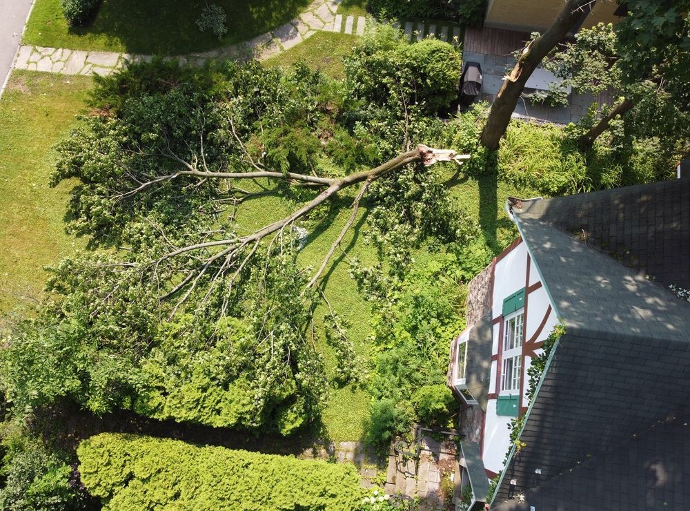An aerial view of a tree that has fallen on a house