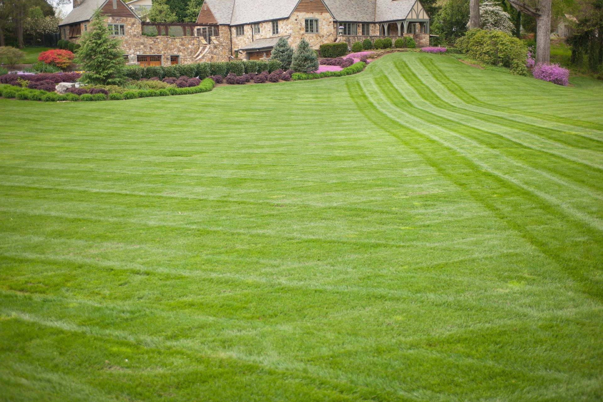 Large front yard - Orlando, FL - A+ Plus Landscaping FL
