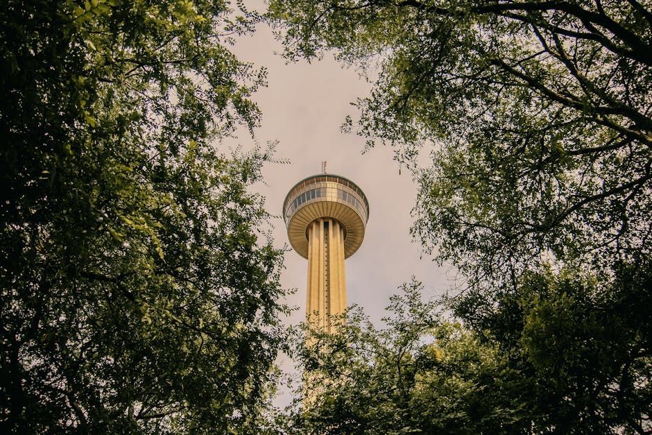 Who's the Top Website Designer in San Antonio? We Found Them!