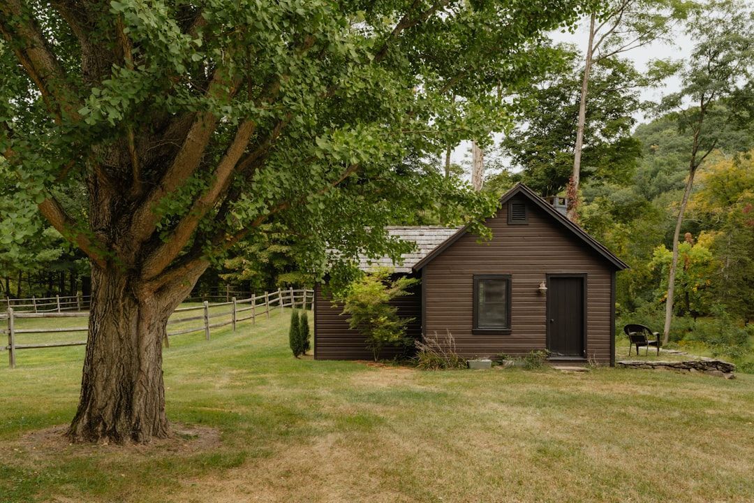 Tiny Homes, Huge Reach Digital Marketing for Your Niche