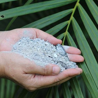 Hands holding a pile of gray ash or powder over green palm leaves