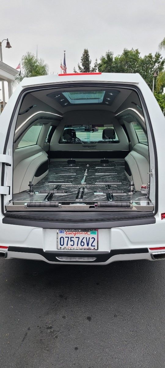 Open car trunk with folded rear seats, showing the cargo area and rear license plate.